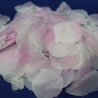 Лепестки роз бело-розовые арт.077-029