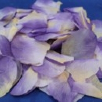 Лепестки роз фиолетово-бежевые арт. 077-033
