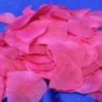 Лепестки роз ярко-розовые арт.077-031