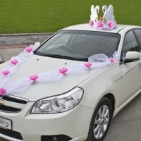 Украшение на свадебную машину, лебеди кольца на крышу, лента с цветами на капот, розочки на ручки в розовом цвете Арт КМ-004