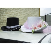Шляпа на крышу, цвет розовый, 2 шт в наборе, размер 48 с х 25 см